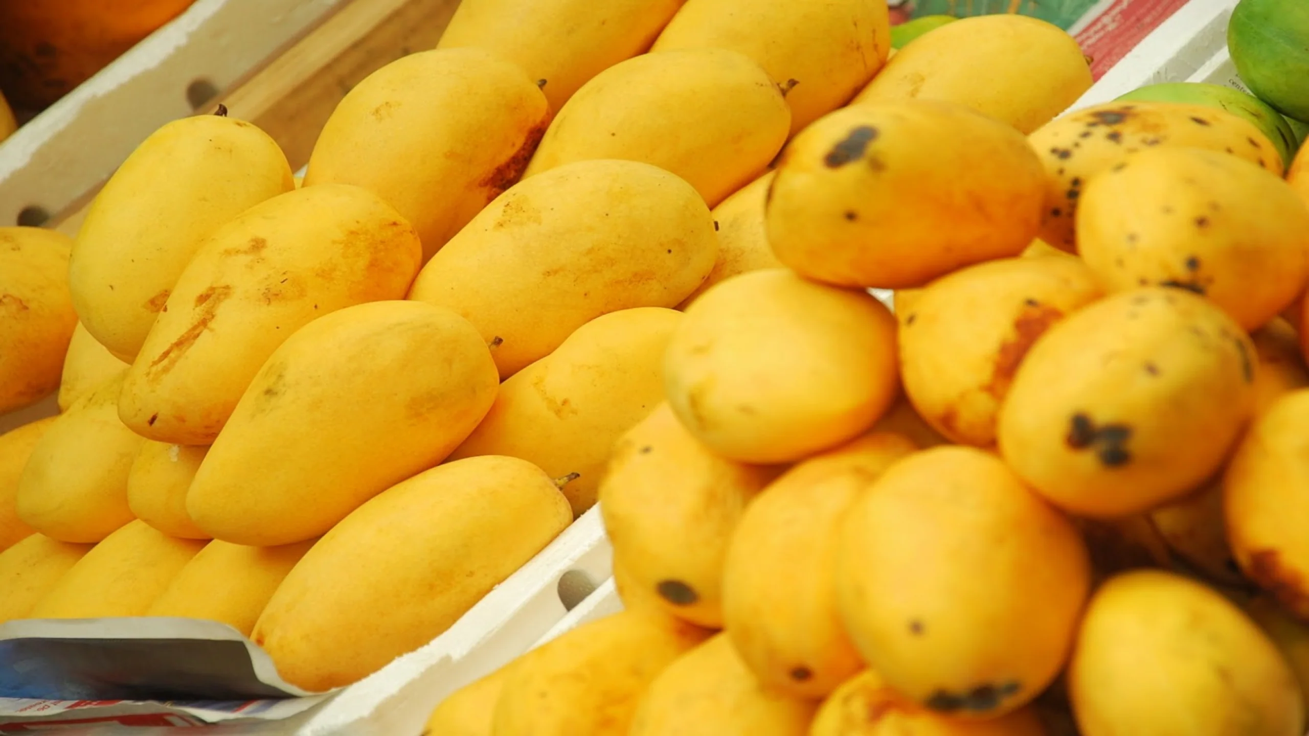 Dry Mango in Pakistan Dry Mango in Pakistan