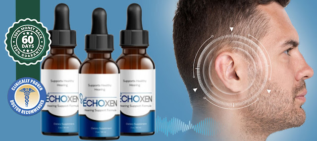 EchoXen Echoxen