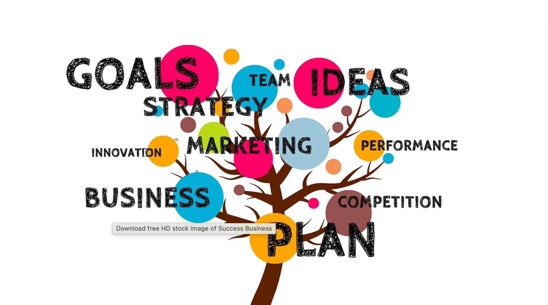 Organic Growth Plan for a Brand Organic Growth Plan for a Brand