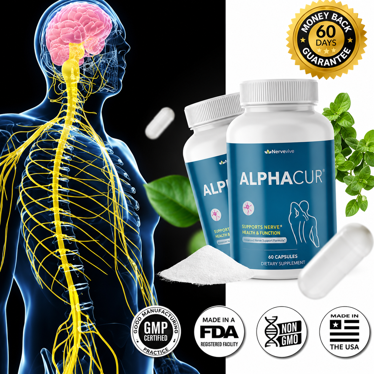 AlphaCur AlphaCur