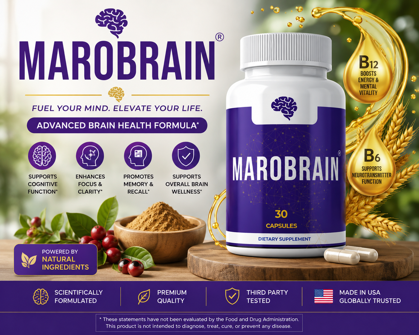 MaroBrain MaroBrain