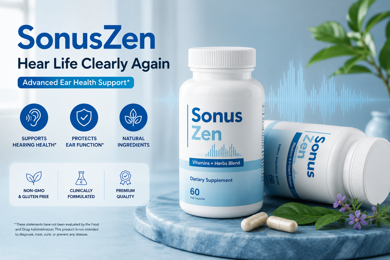 SonusZen SonusZen