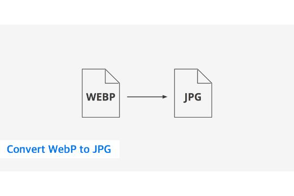 how-to-convert-webp-to-jpg (1) how-to-convert-webp-to-jpg (1)