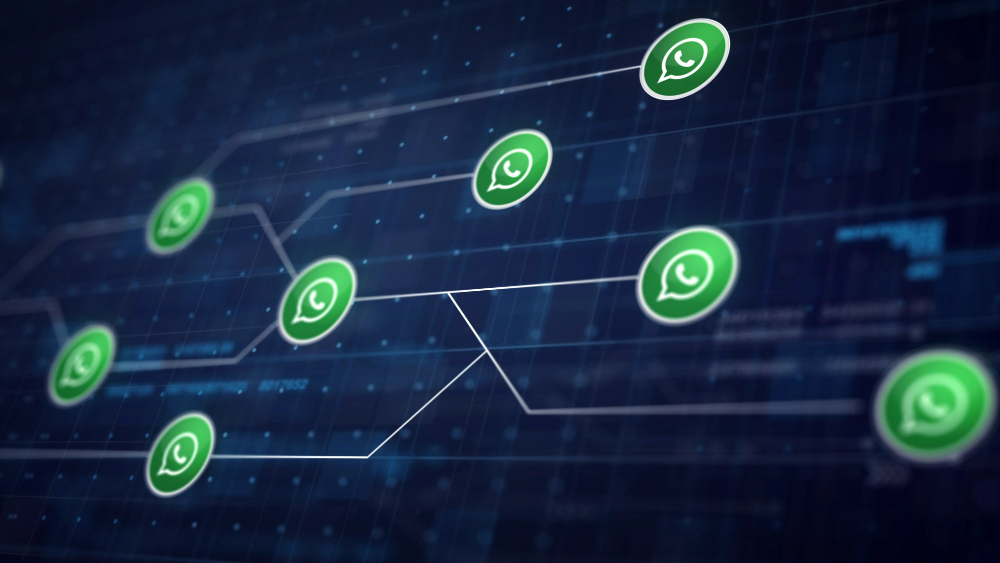 WhatsApp Chat Support WhatsApp Chat Support