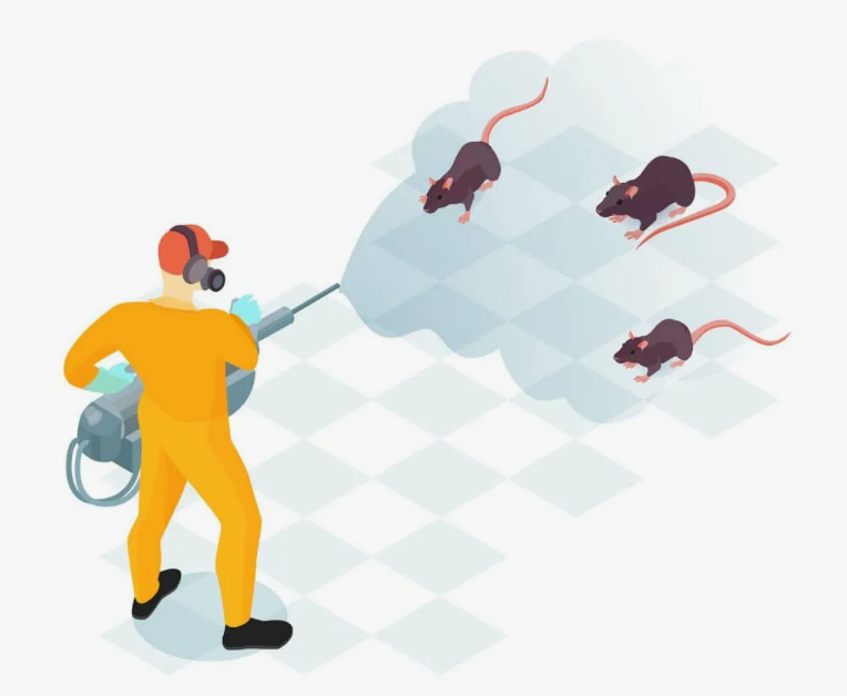 Rat Control Services in Lahore Strong Defense Against Rats and Mice Rat Control Services in Lahore