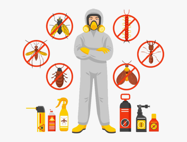 Pest Control Company in Lahore Pest Control Company in Lahore