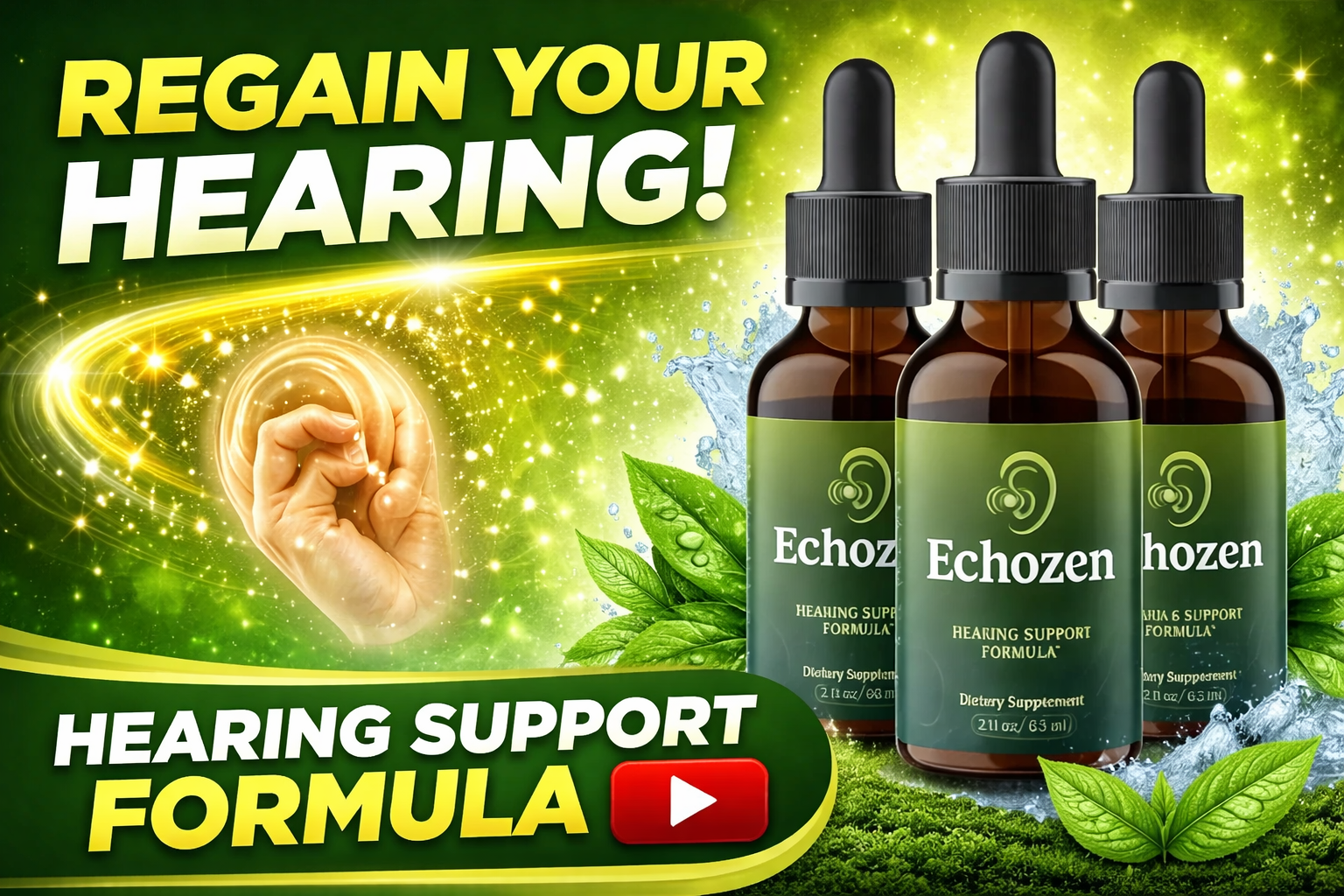 echozen feat echozen feat