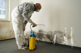 Mold Remediation Services Mold Remediation Services