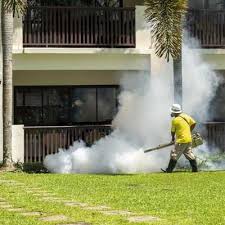 Mosquito Killer Spray Services in Lahore Expert Solution for Mosquito Infestation Mosquito Killer Spray Services in Lahore
