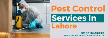 Termite Control Treatment in Lahore Affordable and Trusted Pest Solution Termite Control Treatment in Lahore